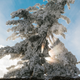 Illustration for article titled How To Build A Snow Shelter
